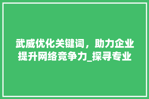 武威优化关键词，助力企业提升网络竞争力_探寻专业服务之选