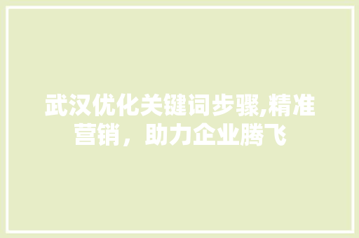 武汉优化关键词步骤,精准营销，助力企业腾飞