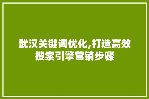 武汉关键词优化,打造高效搜索引擎营销步骤 缓存Redis