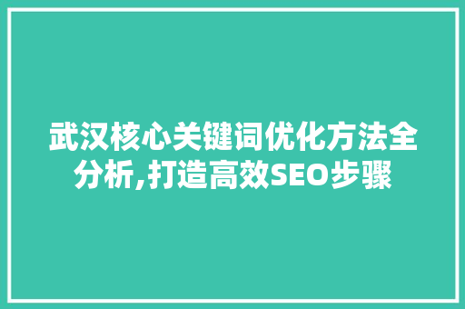 武汉核心关键词优化方法全分析,打造高效SEO步骤