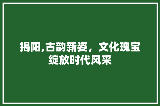 揭阳,古韵新姿，文化瑰宝绽放时代风采