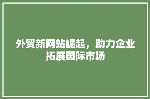 外贸新网站崛起，助力企业拓展国际市场 前端技术