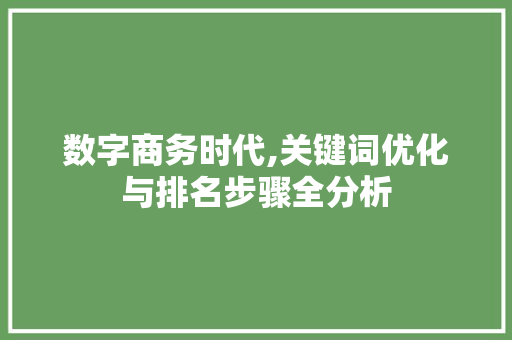 数字商务时代,关键词优化与排名步骤全分析