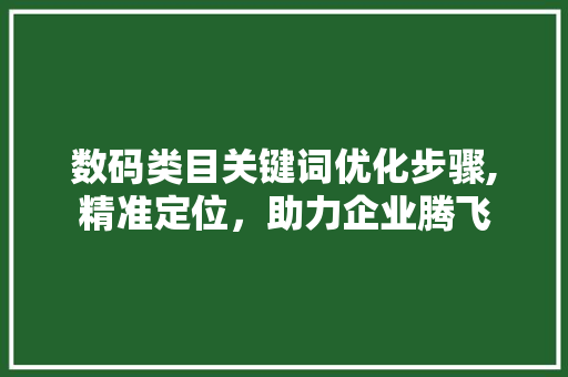 数码类目关键词优化步骤,精准定位，助力企业腾飞