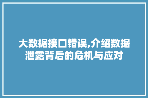 大数据接口错误,介绍数据泄露背后的危机与应对