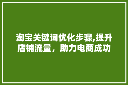淘宝关键词优化步骤,提升店铺流量，助力电商成功