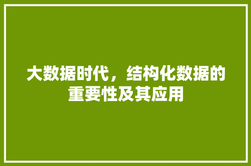 大数据时代，结构化数据的重要性及其应用 响应式设计
