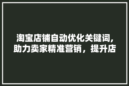 淘宝店铺自动优化关键词,助力卖家精准营销，提升店铺竞争力 网站建设