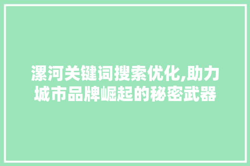 漯河关键词搜索优化,助力城市品牌崛起的秘密武器