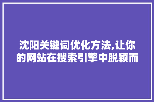沈阳关键词优化方法,让你的网站在搜索引擎中脱颖而出