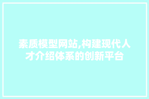 素质模型网站,构建现代人才介绍体系的创新平台 项目报告