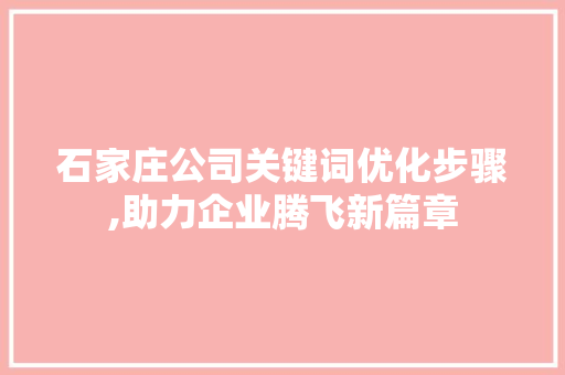 石家庄公司关键词优化步骤,助力企业腾飞新篇章