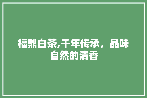 福鼎白茶,千年传承，品味自然的清香