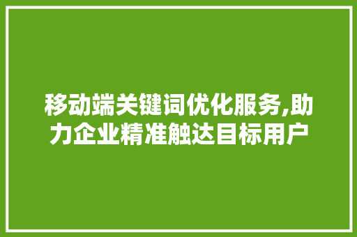 移动端关键词优化服务,助力企业精准触达目标用户 后端技术