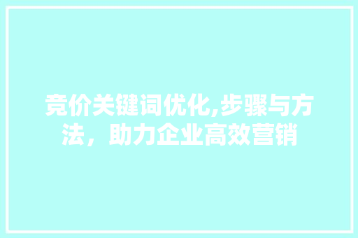 竞价关键词优化,步骤与方法，助力企业高效营销