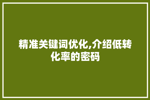 精准关键词优化,介绍低转化率的密码