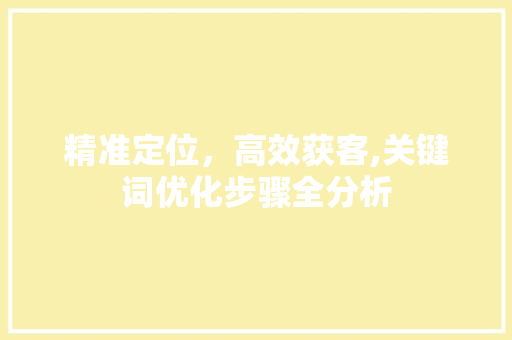 精准定位，高效获客,关键词优化步骤全分析 市场营销范文
