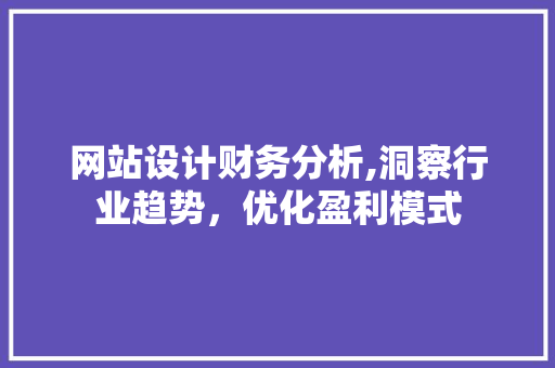 网站设计财务分析,洞察行业趋势，优化盈利模式
