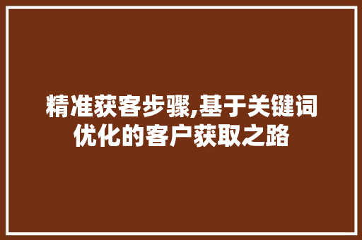 精准获客步骤,基于关键词优化的客户获取之路