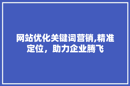网站优化关键词营销,精准定位，助力企业腾飞