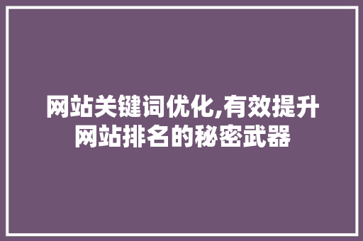网站关键词优化,有效提升网站排名的秘密武器
