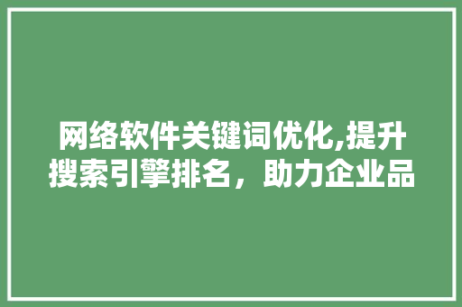 网络软件关键词优化,提升搜索引擎排名，助力企业品牌建设 项目报告