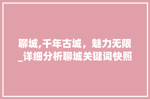 聊城,千年古城，魅力无限_详细分析聊城关键词快照优化步骤