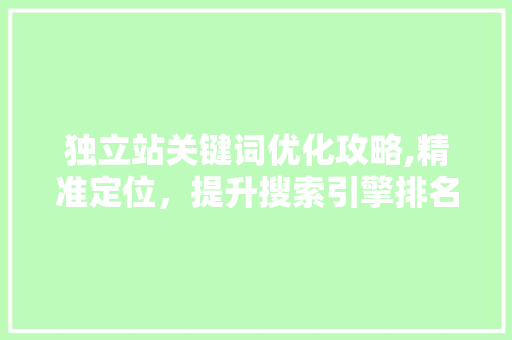 独立站关键词优化攻略,精准定位，提升搜索引擎排名