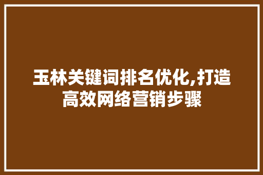 玉林关键词排名优化,打造高效网络营销步骤