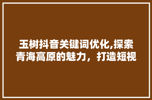 玉树抖音关键词优化,探索青海高原的魅力，打造短视频传播新格局