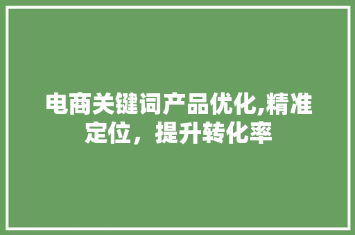 电商关键词产品优化,精准定位，提升转化率