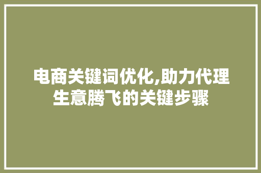 电商关键词优化,助力代理生意腾飞的关键步骤
