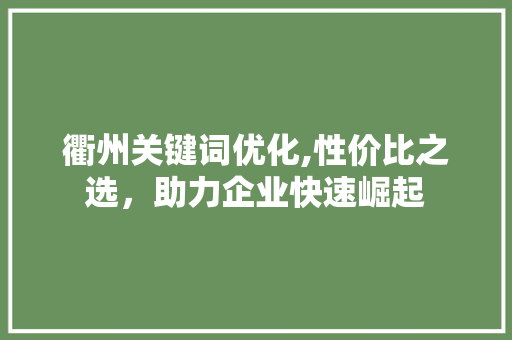 衢州关键词优化,性价比之选，助力企业快速崛起