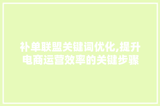 补单联盟关键词优化,提升电商运营效率的关键步骤