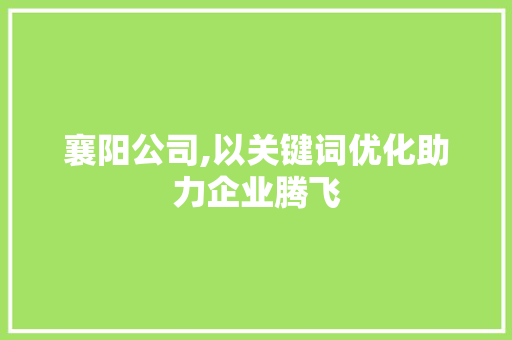 襄阳公司,以关键词优化助力企业腾飞