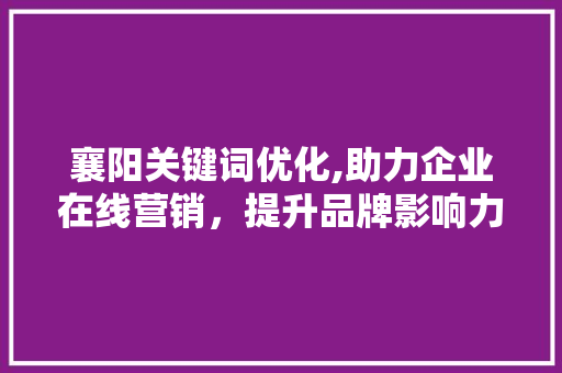 襄阳关键词优化,助力企业在线营销，提升品牌影响力