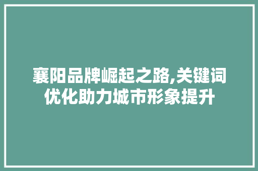 襄阳品牌崛起之路,关键词优化助力城市形象提升
