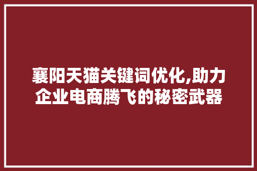 襄阳天猫关键词优化,助力企业电商腾飞的秘密武器