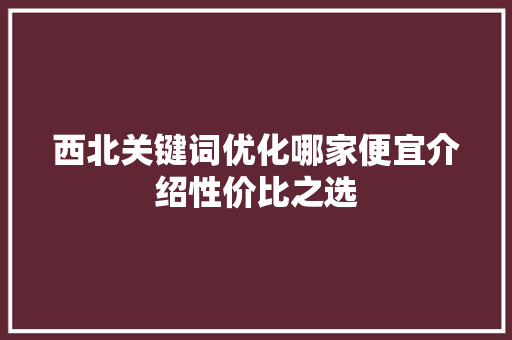 西北关键词优化哪家便宜介绍性价比之选