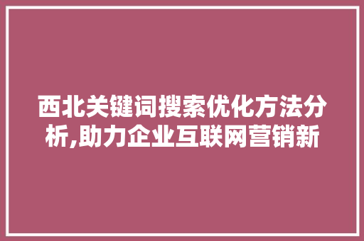西北关键词搜索优化方法分析,助力企业互联网营销新突破