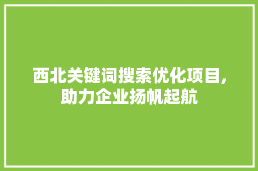 西北关键词搜索优化项目,助力企业扬帆起航