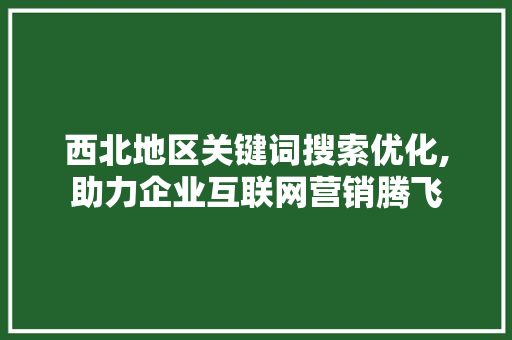 西北地区关键词搜索优化,助力企业互联网营销腾飞