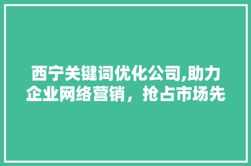 西宁关键词优化公司,助力企业网络营销，抢占市场先机
