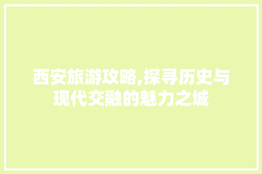 西安旅游攻略,探寻历史与现代交融的魅力之城 前端技术