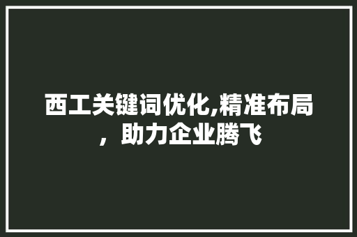 西工关键词优化,精准布局，助力企业腾飞
