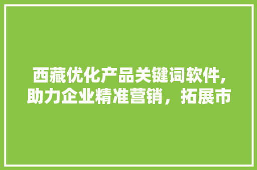 西藏优化产品关键词软件,助力企业精准营销，拓展市场新蓝海