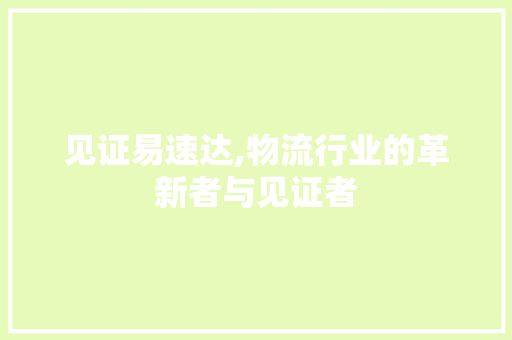 见证易速达,物流行业的革新者与见证者