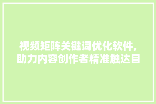 视频矩阵关键词优化软件,助力内容创作者精准触达目标受众