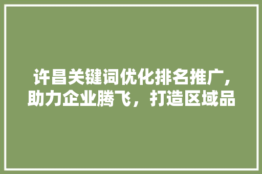 许昌关键词优化排名推广,助力企业腾飞，打造区域品牌新高度 网站建设