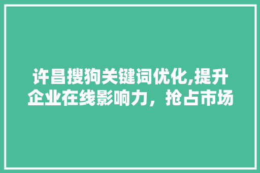 许昌搜狗关键词优化,提升企业在线影响力，抢占市场先机